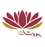اتوماسیون حسابداری شرکت خدمات مسافرتی و گردشگری پروشات