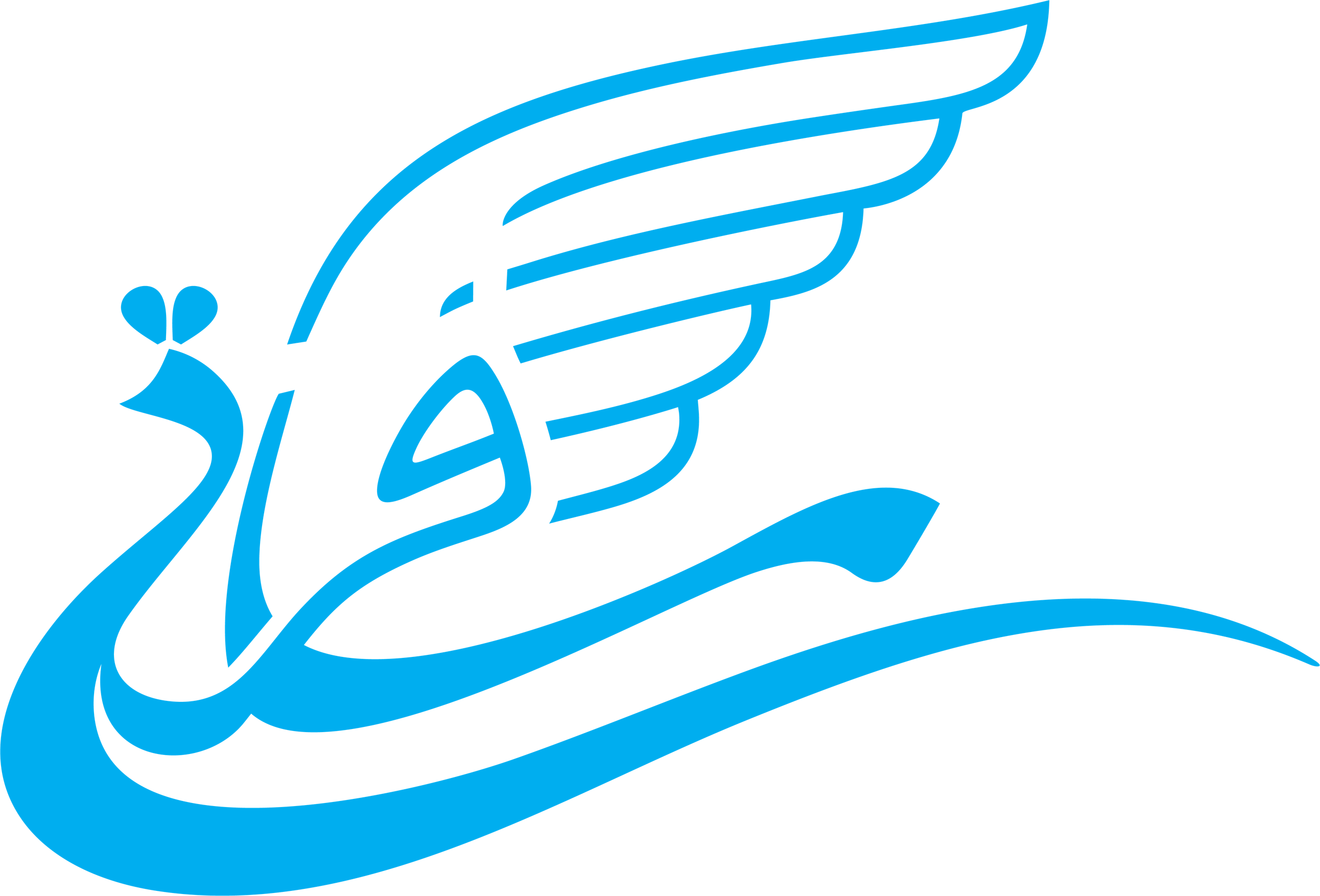 اتوماسیون حسابداری نو اندیشان راه سبز